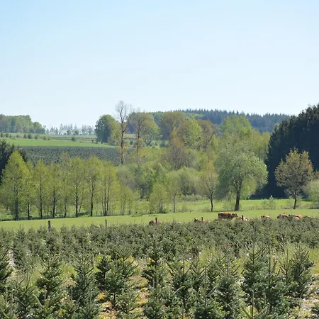 With Foosball & Garden