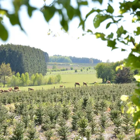 With Foosball & Garden * Jehonville