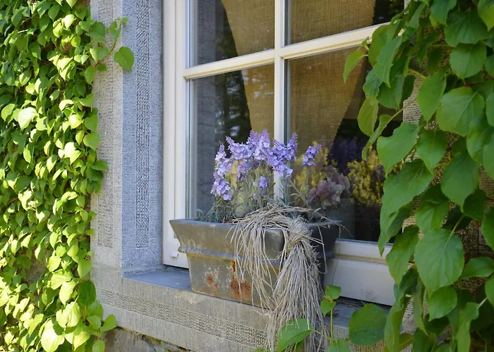 With Foosball & Garden Jehonville